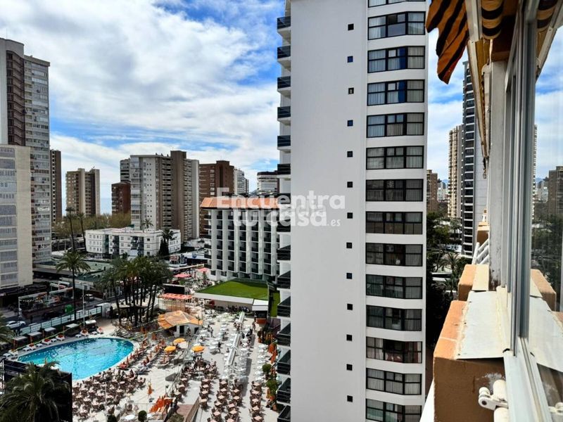 Foto 2de001c4-ad8b-4e25-9dba-f43831a96c3a. Apartament amb calefacció a Playa Levante Benidorm
