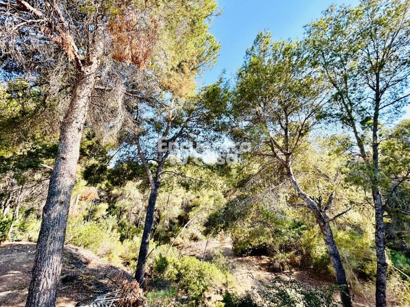 Foto c6a1b6a3-9064-47b5-945d-67a5473a4ac7. Xalet amb calefacció aparcament piscina a Barranco Hondo Nucia (la)