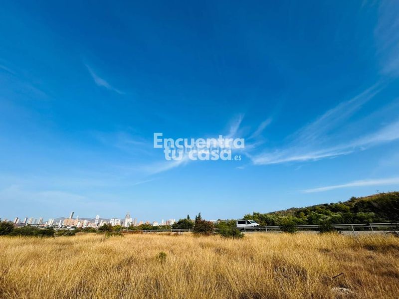Foto ae317007-ec3b-4ba3-81ab-0e50ab5bc21b. Fondo rustico in Platja de Torres Vila Joiosa (la)