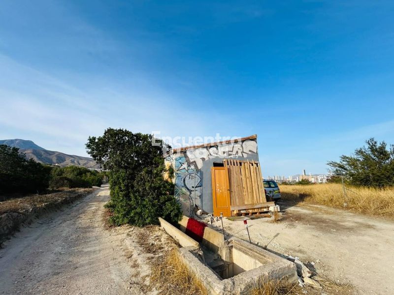 Foto c37c1176-934b-4f9d-b9d7-1e9d8c3d4ce9. Fondo rustico in Platja de Torres Vila Joiosa (la)