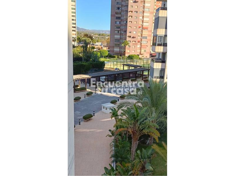 Foto a02f5301-24ea-44c1-b577-f7c89cf5b4b8. Appartamento con riscaldamento parcheggio piscina in Benidorm