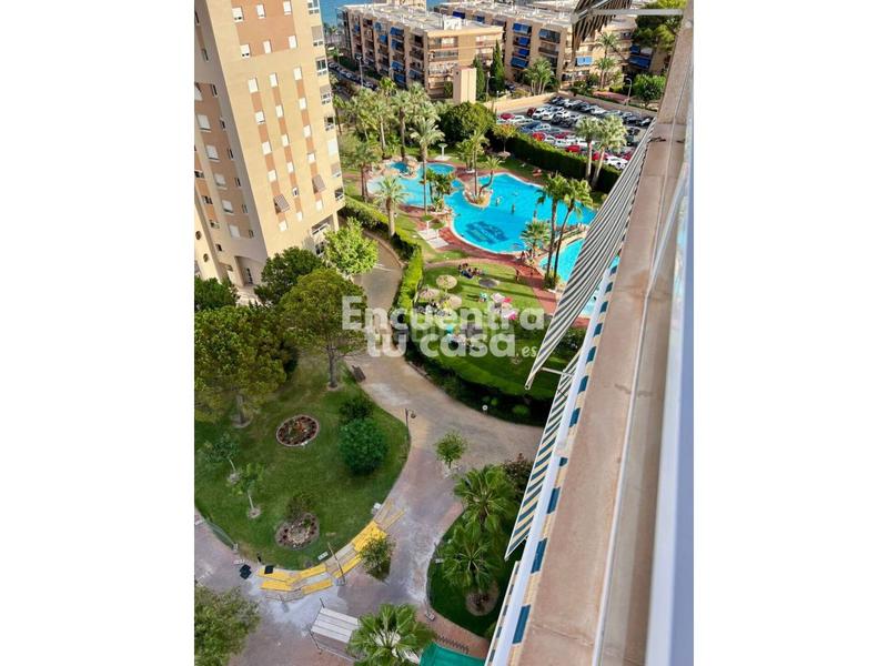 Foto 10cb6651-387a-4b3c-a36d-89810edf92a1. Piso bonito piso en el campello alicante en Playa Muchavista Campello (el)