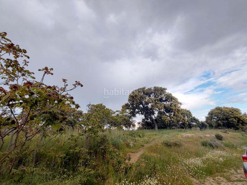 Foto 41b3982e-171c-4602-9e71-fa06c420484a. Fondo rustico in calle del fresno 296 in Las Zorreras-Monte Encinar Escorial (El)