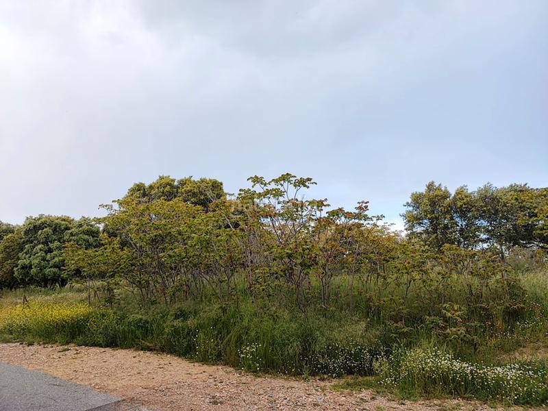 Foto 6888d29d-19a2-48ab-8f8a-6ed8d28ec390. Fondo rustico in calle del fresno 296 in Las Zorreras-Monte Encinar Escorial (El)