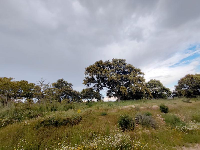 Foto 9b877086-6011-4586-b04c-b0e3442827d0. Fondo rustico in calle del fresno 296 in Las Zorreras-Monte Encinar Escorial (El)
