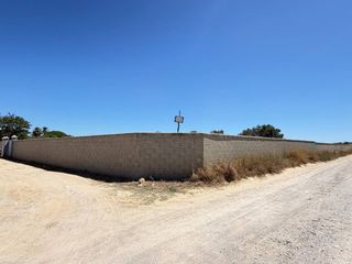 Lloguer Finca rústica a Pelagatos - Pago del Humo. Parcela indivisa totalmente vallada con pozo en chiclana