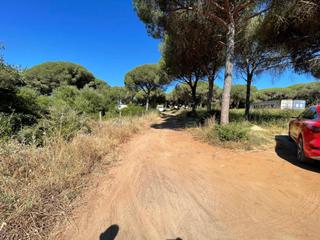 Proprit en Las Lagunas - Campano. Magnifica parcela de 500 m2.