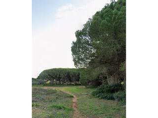 Terrain rsidentiel en Las Lagunas - Campano. Oportunidad exclusiva para desarrolladores hoteleros tres terren