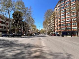 Flat  Juan fernandez