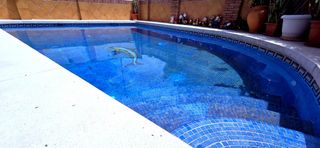 Casa aparellada a Distrito Zeta - Recinto Ferial Cortijo de Torres. Vivienda muy espaciosa con piscina propia en málaga