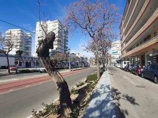 Local Comercial en Avenida de Andalucía 11