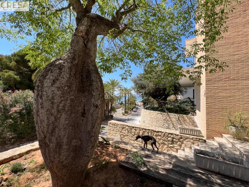 Foto ed994e3e-50f0-499a-bdff-f69797d42eb2. Chalet avec chauffage parking piscine dans El Faro Cullera