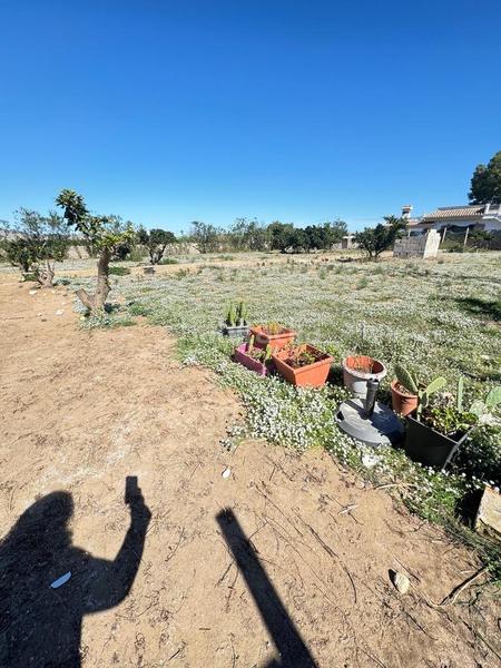 Foto 92f2b3d1-fbc4-4d6e-aab3-239f319209b8. Masía en El Marenyet Cullera