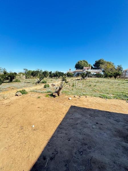 Foto b9605bf5-8f8b-4ec1-bdcd-e398df0bc4e7. Masía en El Marenyet Cullera