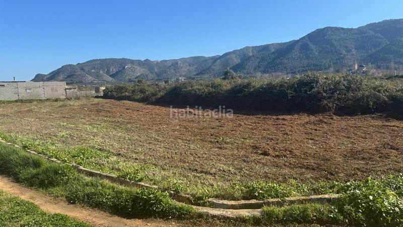 Foto 91711563-b654-4356-8e2d-bb2a81ec8223. Casale in Simat de la Valldigna