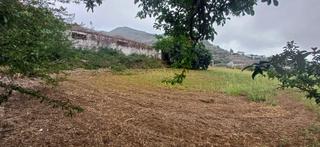 Finca rústica a Carretera teror a san mateo 15-13. Se vende magnífico terreno en arbejales (teror)
