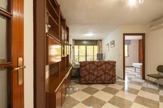 Flat in Angustias - Chana - Encina
