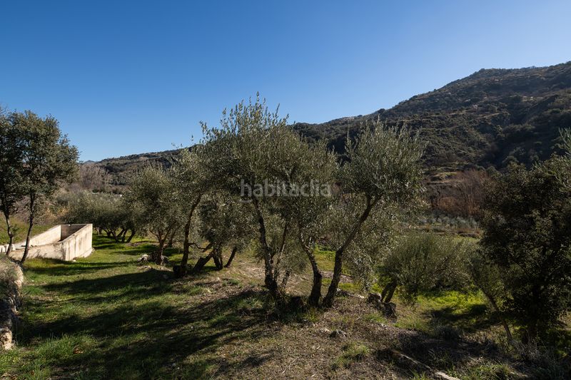 Foto f3a8cfed-c860-404a-8e96-81767a2bf6e5. Finca rústica a Quéntar