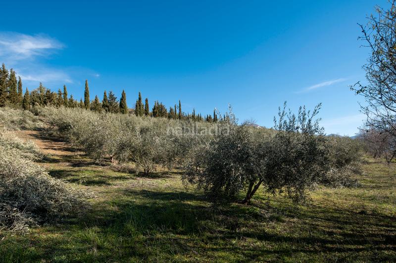 Foto 46ea4df8-e320-4031-91d9-8d229d16f5ab. Masía cortijo rural en Quéntar