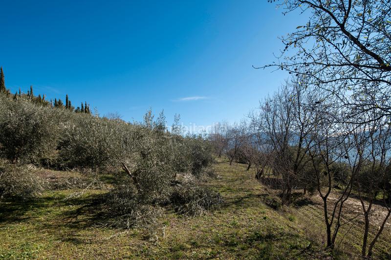 Foto 5af83ac4-0e6b-4ef0-be78-e0b4efe0014e. Masía cortijo rural en Quéntar