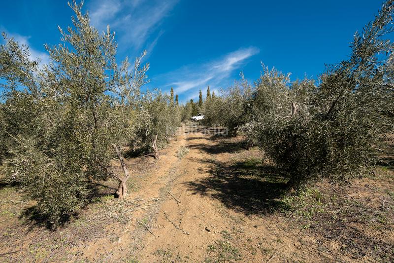 Foto 7c25f5f8-7348-4fa4-8502-ec86a23ccfc0. Masía cortijo rural en Quéntar