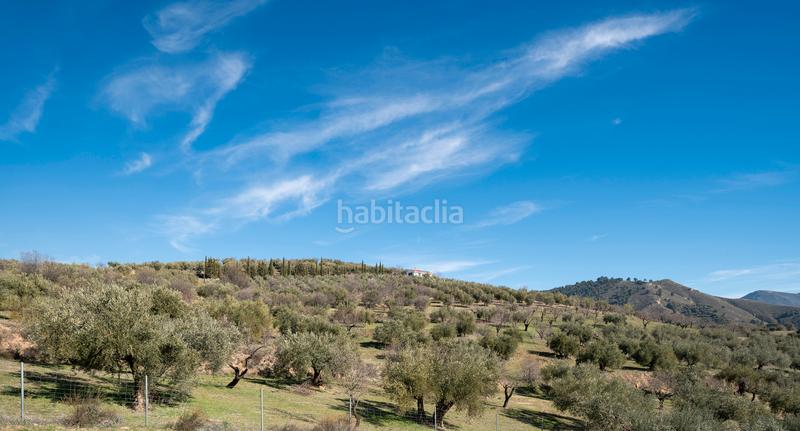 Foto 81ec43a8-b937-43ef-846a-103e61e97a22. Masía cortijo rural en Quéntar