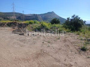 Foto 3b5f00c0-d19d-4e4e-83e8-66872d496ca7. Finca rústica a Atarfe