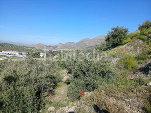 Foto b9079297-4a86-4ff7-bb55-b76e62ada3bd. Finca rústica a Atarfe