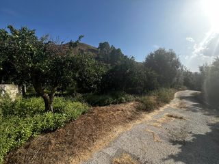 Finca rústica a Lecrín. Terreno rural en venta en murchas