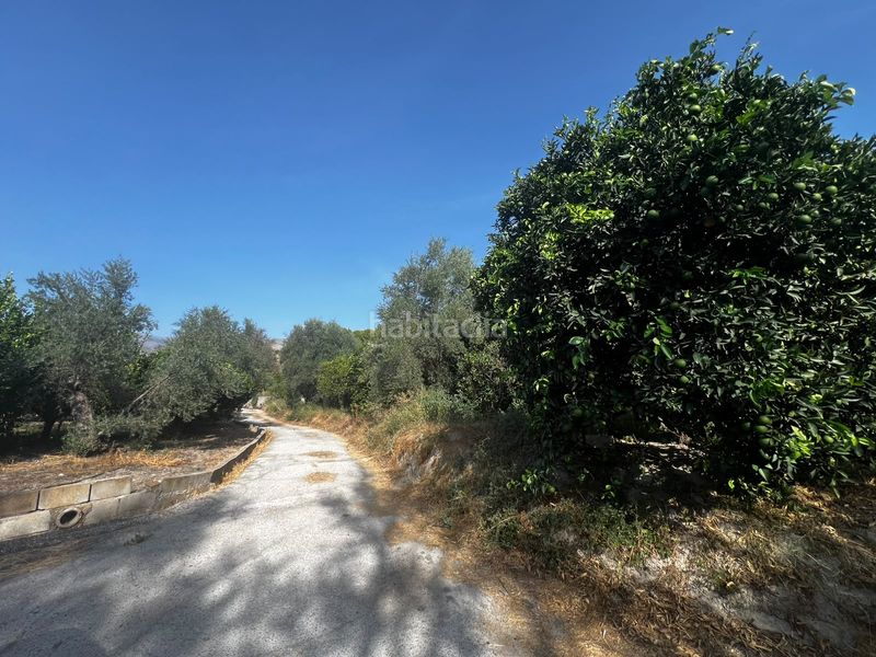 Foto 4784d0c5-4982-44a2-b318-17396581e3e1. Finca rústica a Lecrín