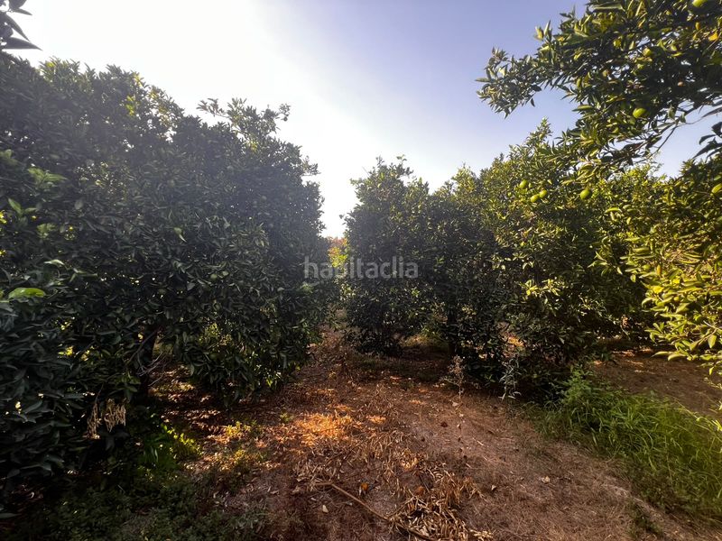 Foto d6c211ed-4fa9-4ea9-8150-264e9e65f310. Finca rústica a Lecrín