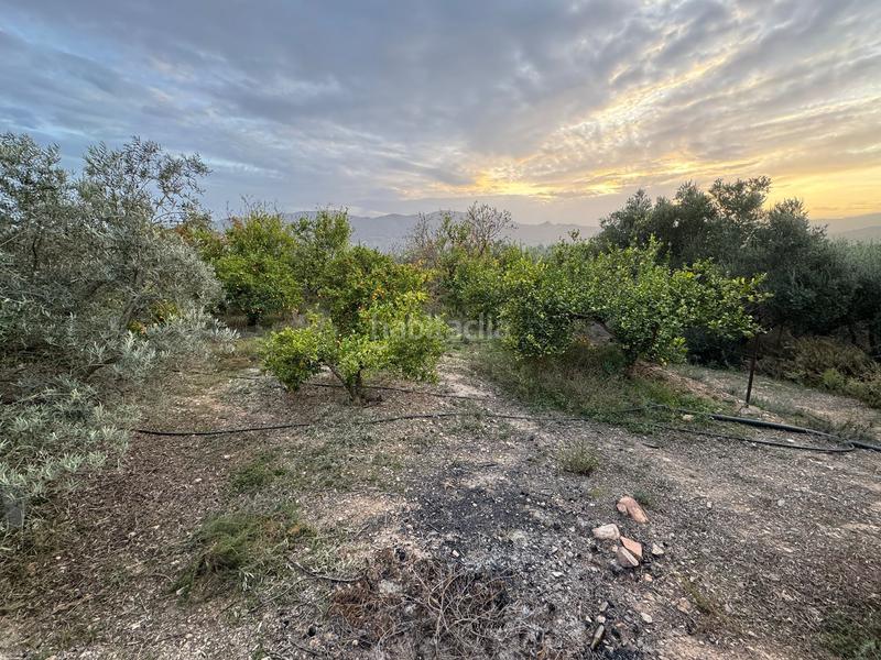 Foto 02c4e759-1c3a-4f8e-8590-35cfda40da94. Finca rústica a Lecrín