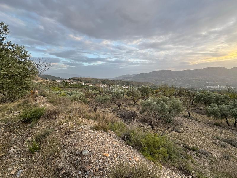 Foto 14e6476d-cfd9-4e88-9470-daab5946a925. Finca rústica a Lecrín