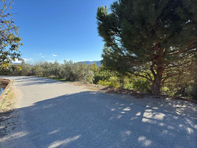 Foto 17cbf3d3-2878-4fae-b461-94ea1aaaa6a9. Finca rústica a Lecrín