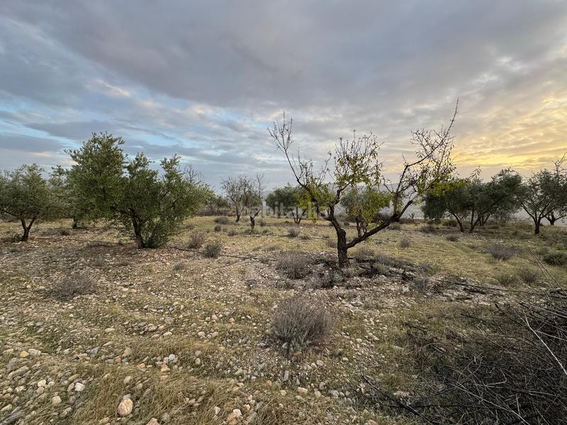 Foto 1ae55b39-1301-457e-81be-56849686740d. Finca rústica a Lecrín