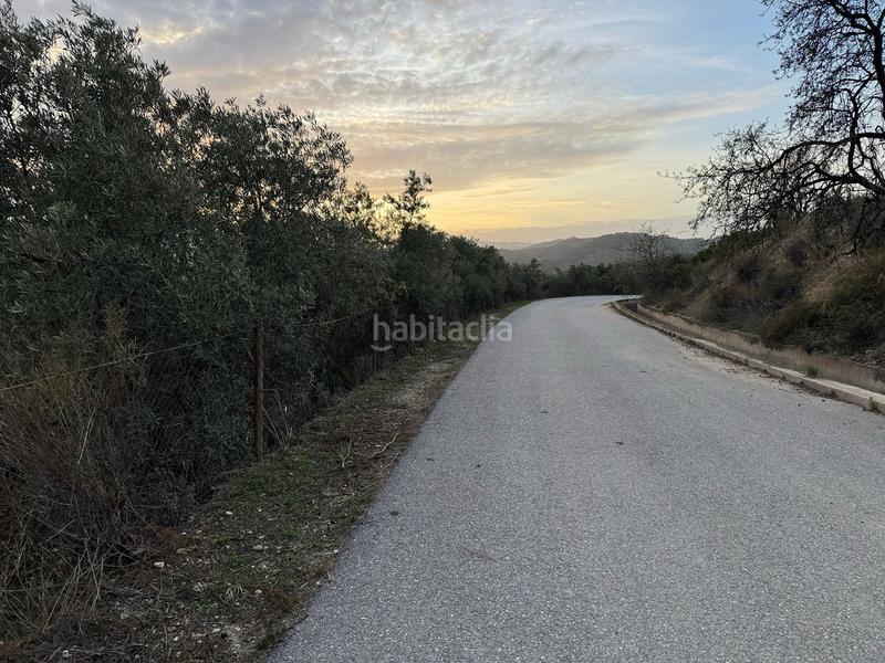 Foto 383bd9c2-70d2-45b3-92b0-a3bda5f53315. Finca rústica a Lecrín