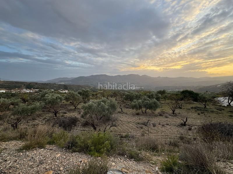 Foto 6bd26881-026b-4fdf-b039-7ed6f4c6d61e. Finca rústica a Lecrín