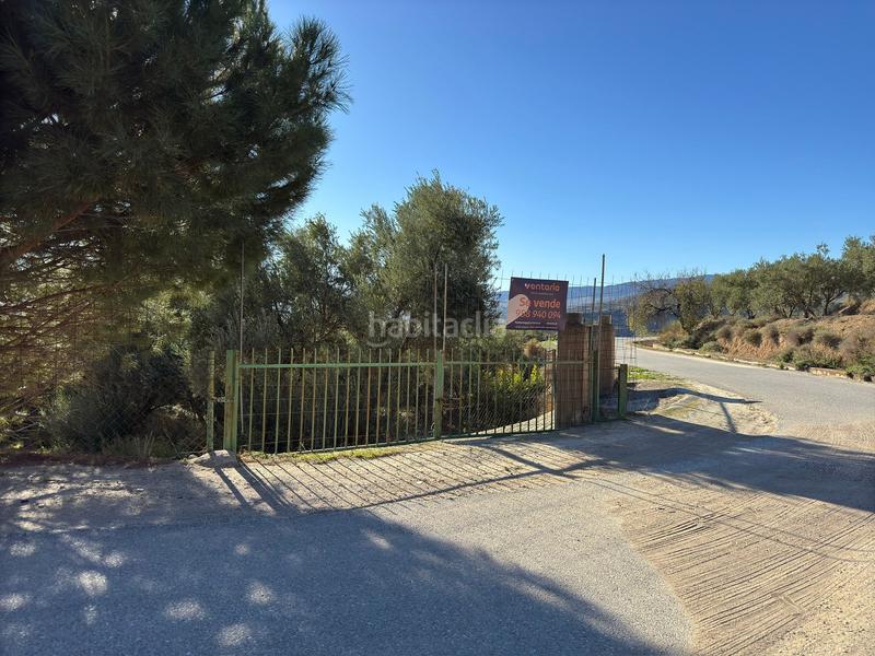 Foto 7247b8ba-021b-419d-869f-c986e1ef50da. Finca rústica a Lecrín