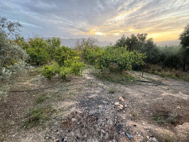 Foto 7f7ba5d6-de2b-44da-ada2-ad67aba45e7c. Finca rústica a Lecrín