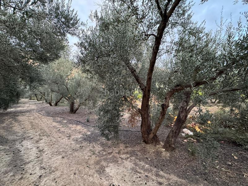 Foto 8ded53f2-a4a4-418d-b5a4-53d865125596. Finca rústica a Lecrín