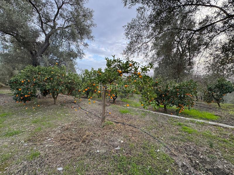 Foto a1069275-a33f-46cc-ac58-08c458735034. Finca rústica a Lecrín