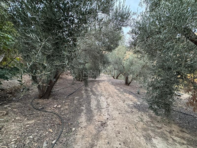 Foto ad4a8971-64ee-4bc0-b723-ecce835dd945. Finca rústica a Lecrín