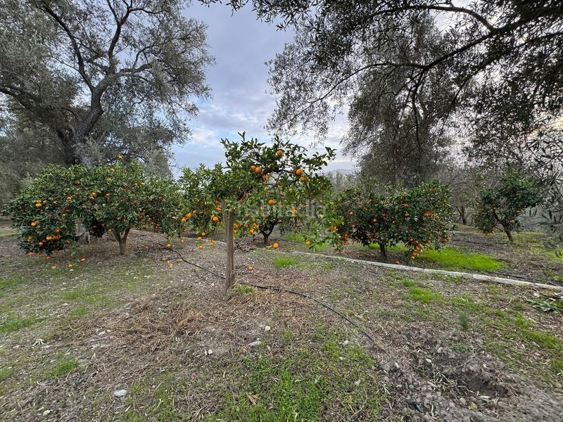 Foto ebc9c8d5-599c-448e-b351-4ef2df5103a7. Finca rústica a Lecrín