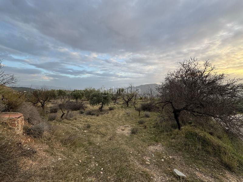 Foto f25190d2-bc9a-4678-ac64-d046e05fb029. Finca rústica a Lecrín
