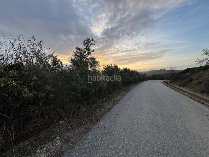 Foto ff7f528b-b663-44c8-b24b-887d47c2e1c8. Finca rústica a Lecrín