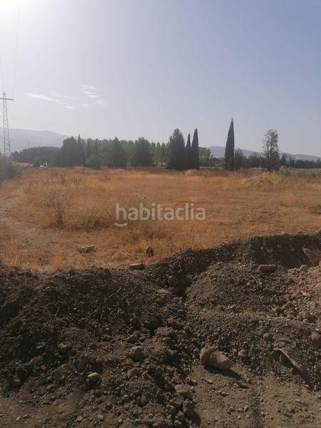 Foto ad9b9719-1bfe-4cad-be2f-56dbfcb120d2. Fondo rustico in Camino de Ronda Granada