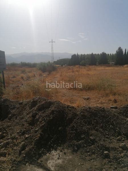 Foto d1b2dd51-cf47-468e-8bd3-a0b668431ab5. Fondo rustico in Camino de Ronda Granada