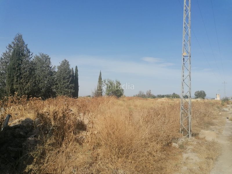 Foto df3f5dac-afdd-4bfe-9081-ae930721427c. Fondo rustico in Camino de Ronda Granada