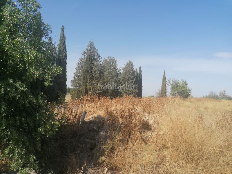 Foto e3d2eb84-b5e0-4ff7-921f-77c49665bd71. Fondo rustico in Camino de Ronda Granada