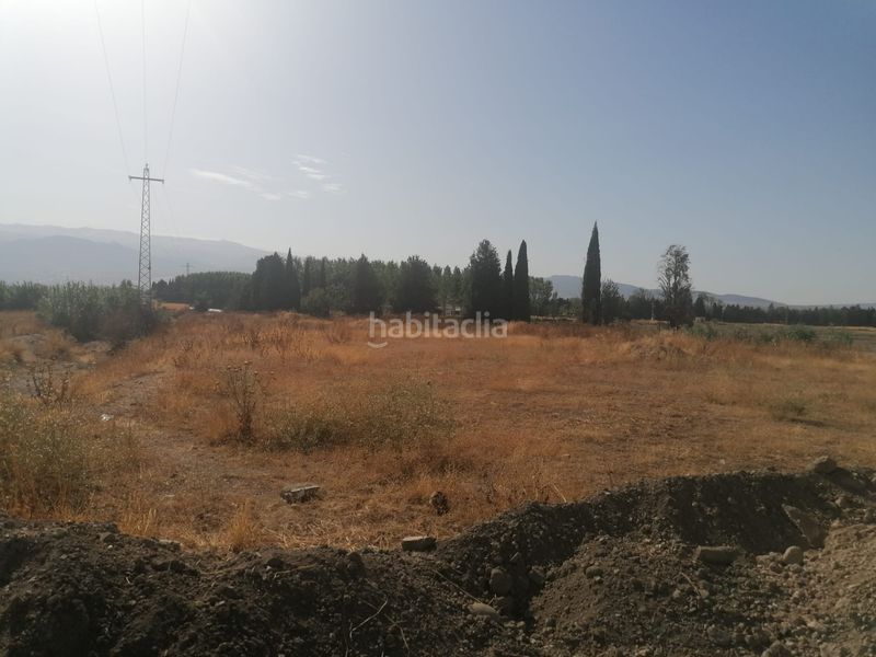 Foto fc666602-6878-42dc-8c21-4113b9e9c32d. Fondo rustico in Camino de Ronda Granada